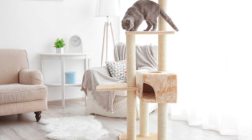 build your own cat tree
